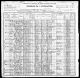 1900 Census