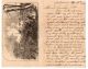 PVT William Bedford Westerman, Jr.